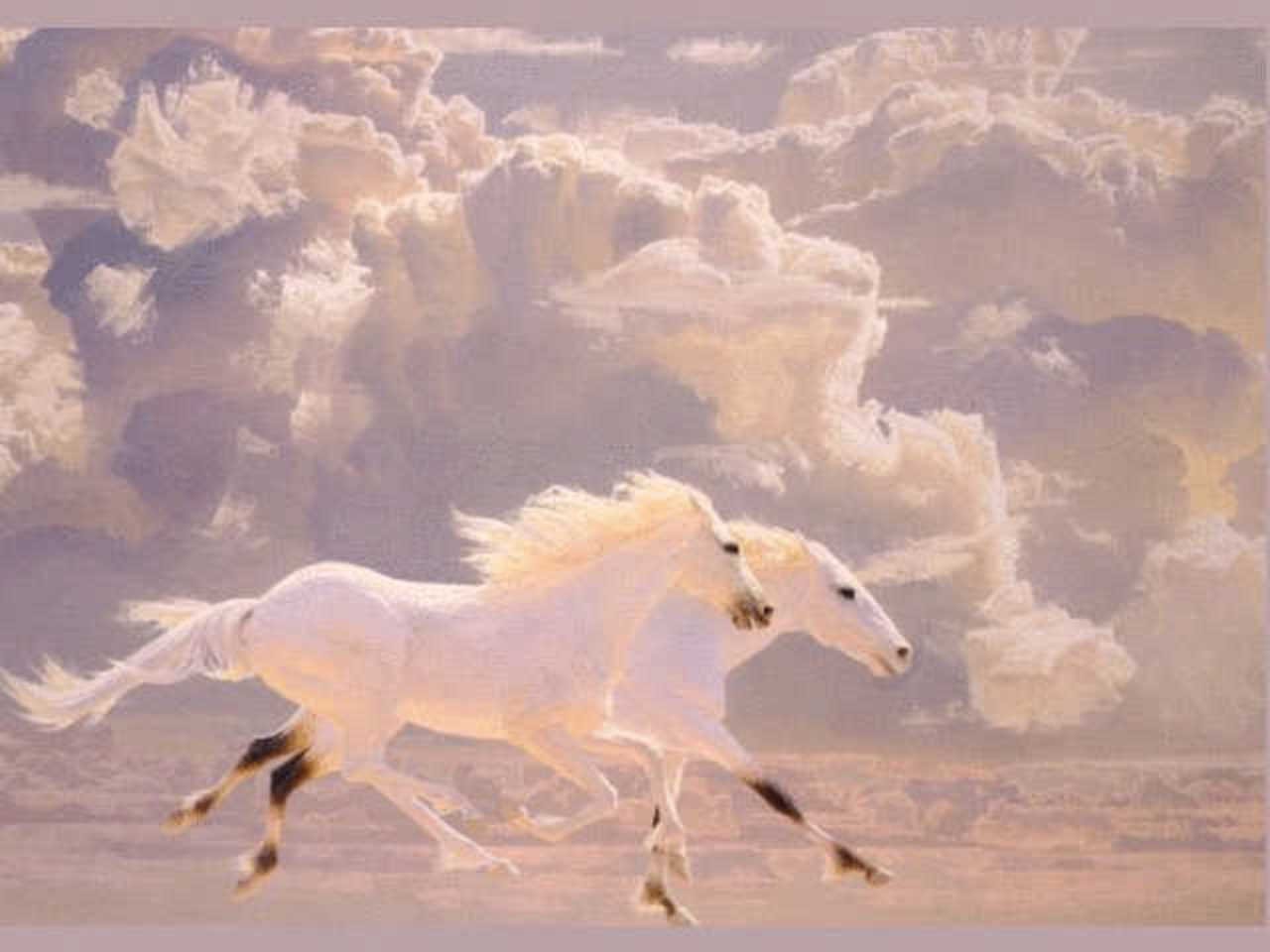 Небо на кону. Небесные лошади. Лошадь в облаках. Лошадь в небе. Облака лошадки.