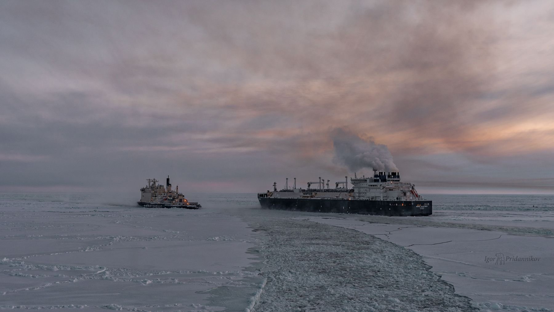 Северный морской путь листовой