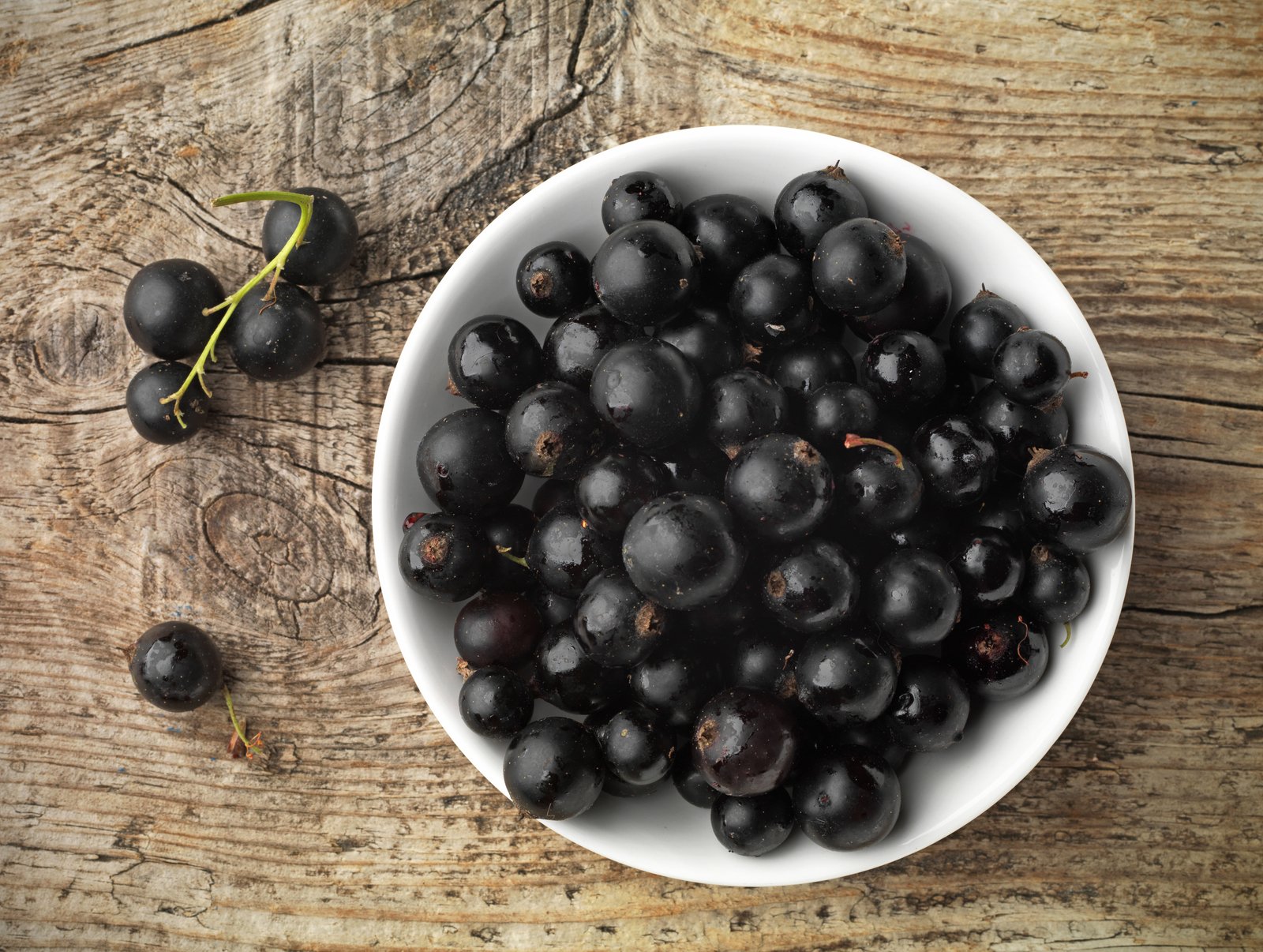 Черные ягоды собирать. Black Currant черная смородина. Смородина черная (ribes nigrum). Черная круглая ягода.