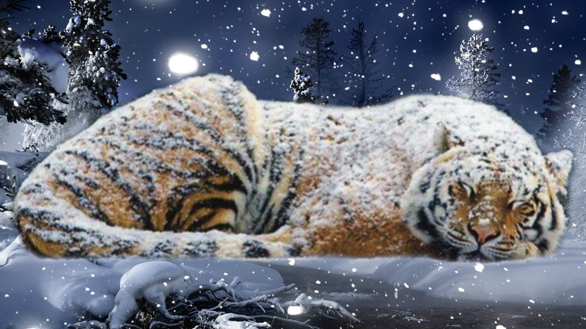 Тигр Tiger 2022