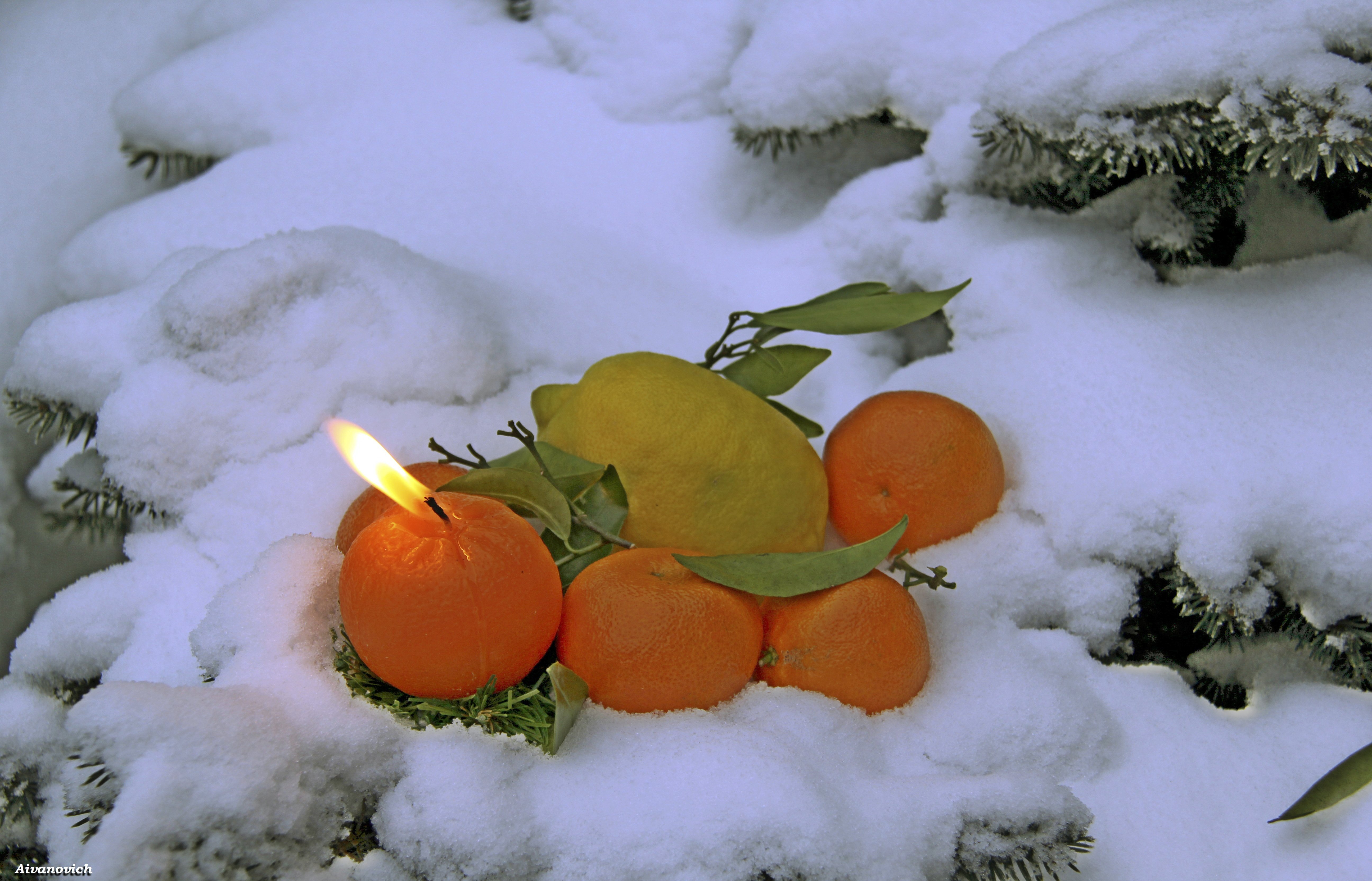 Мандарин мороз. Мандарины на снегу. Новогодние мандарины в снегу. Зима пахнет мандаринами. Новогодний натюрморт с мандаринами.