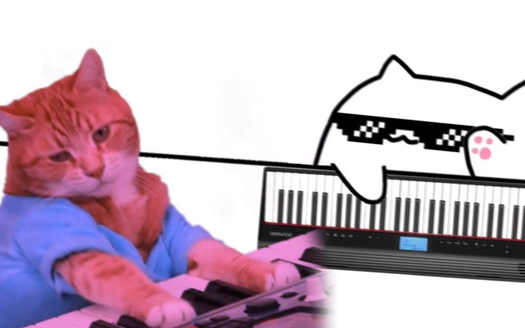 Кот мем игра. Бонго Кэт пианино. Кот на пианино. Котик играющий на пианино. Кот на синтезаторе.