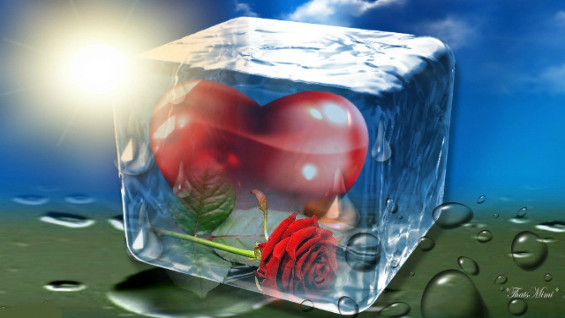Моя любимая тает. Сердце во льду. Сердце в кубике льда. Растопить сердце. Льдинка в сердце.