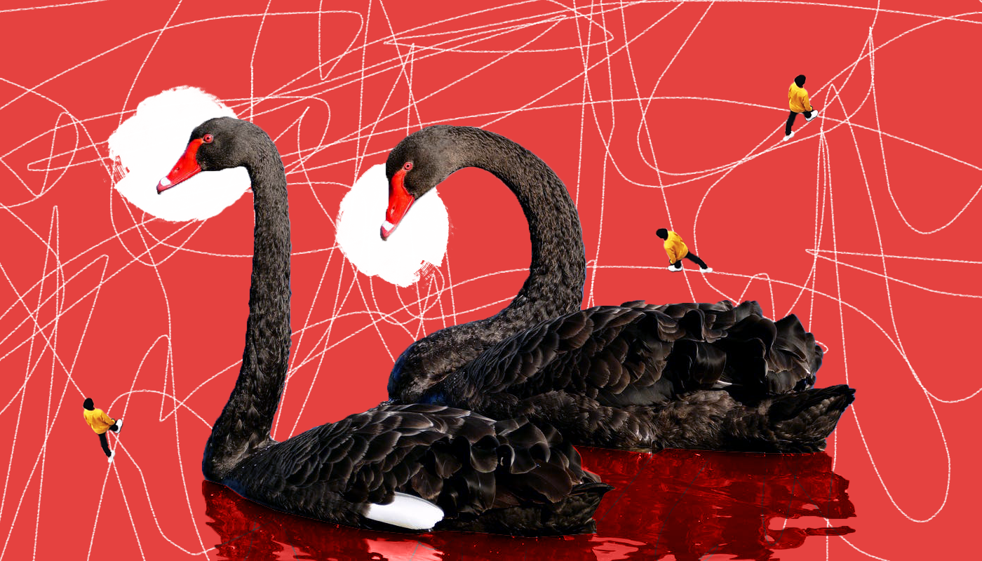 Красный лебедь. Черный лебедь в экономике. Риски черный лебедь. Символ непредсказуемости. Лебедь яркий на черном фоне обои.