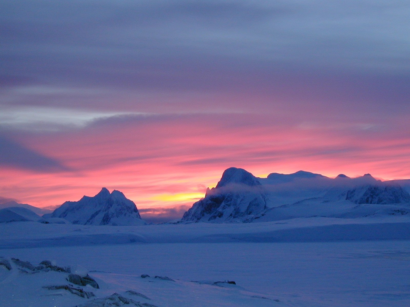 Антарктическая тундра. Арктические и антарктические пустыни растительность. Арктическая и антарктическая пустыня. Арктика тундра Ледяная пустыня Гренландия. Антарктическая Полярная пустыня.