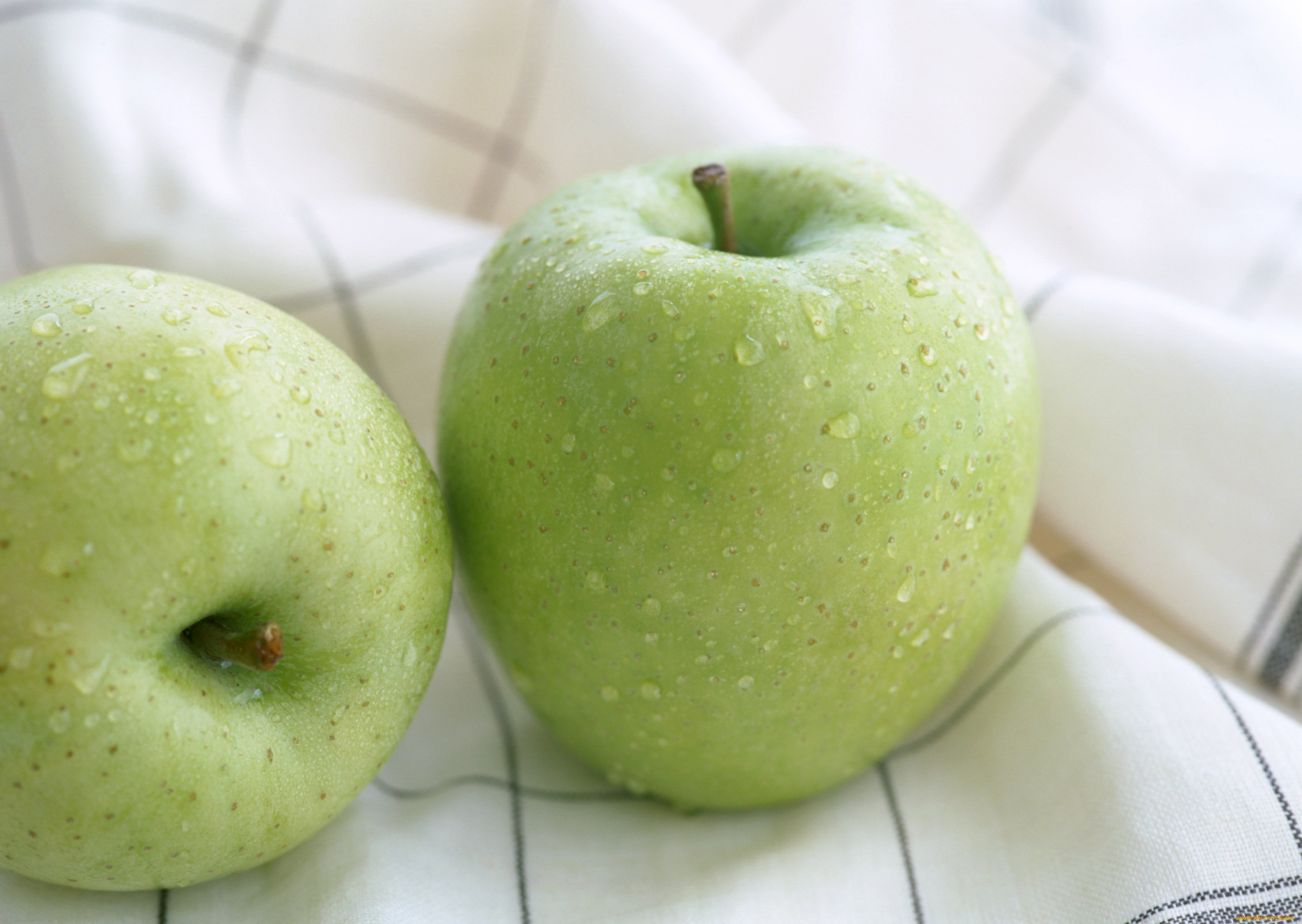 фотография зеленого яблока