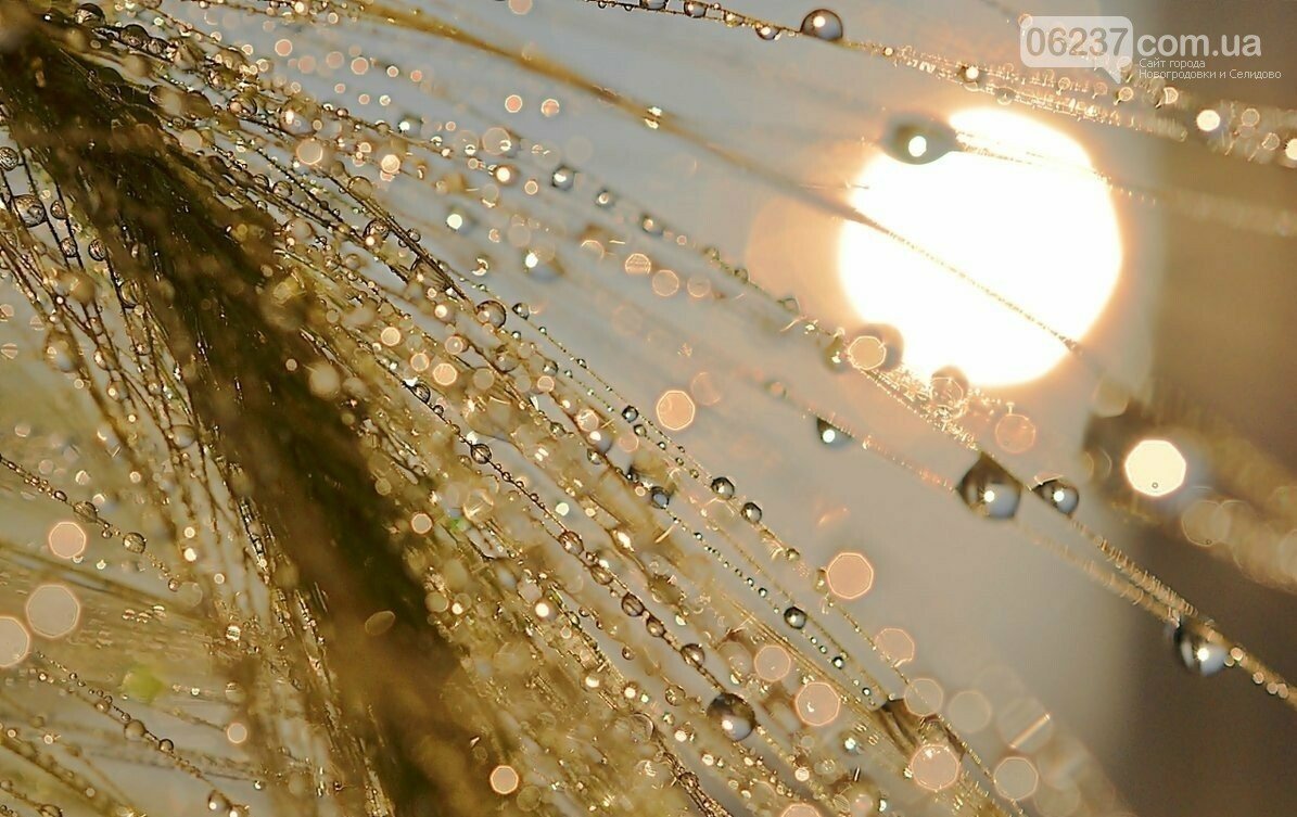 Прозрачная блестящая вода. Капли дождя. Капельки росы на солнце. Роса на солнце. Дождь и солнце.