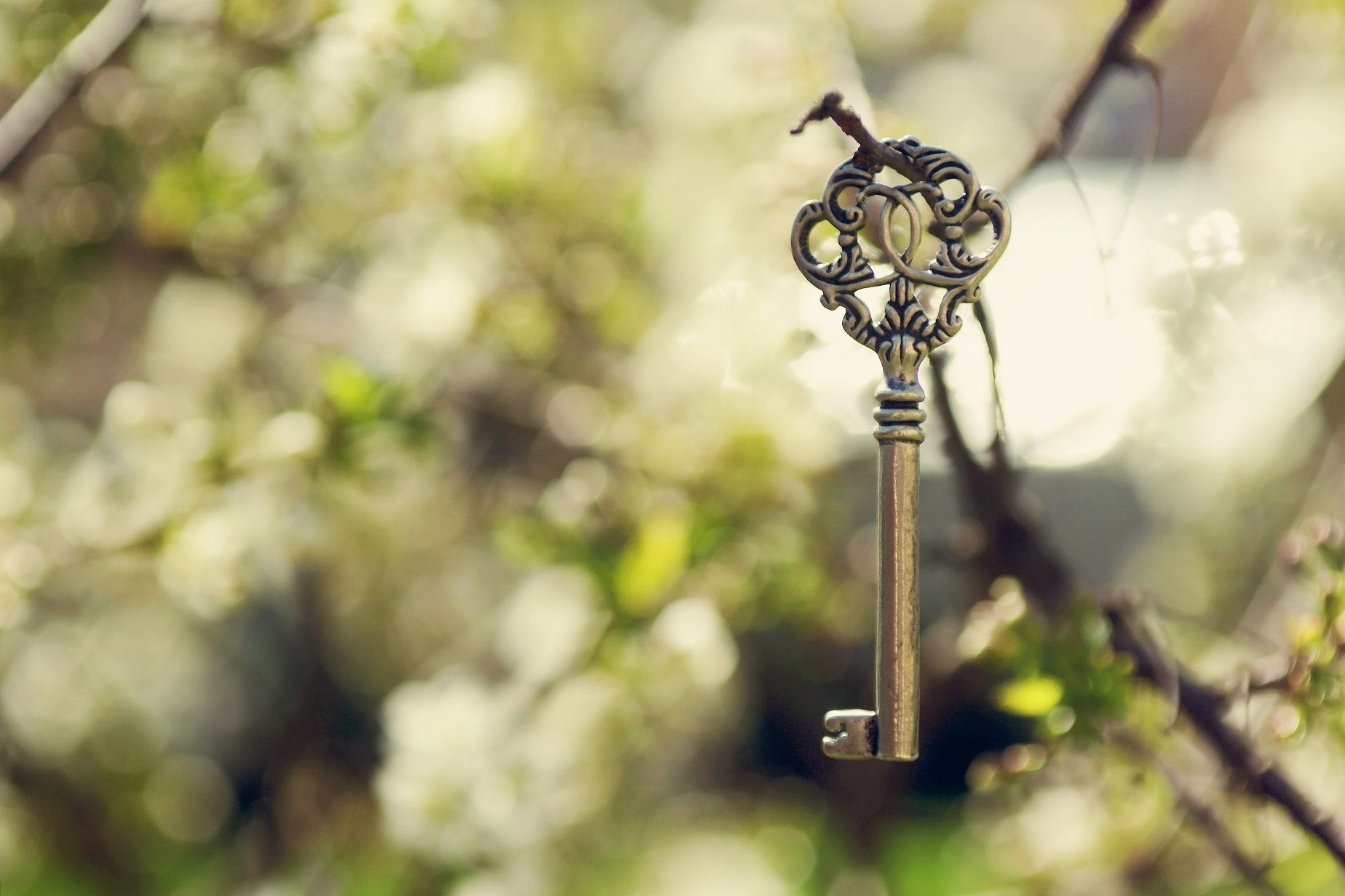 Воскресный ключ. Красивые ключи. Красивый старинный ключ. Волшебный ключик. Красивый ключик.