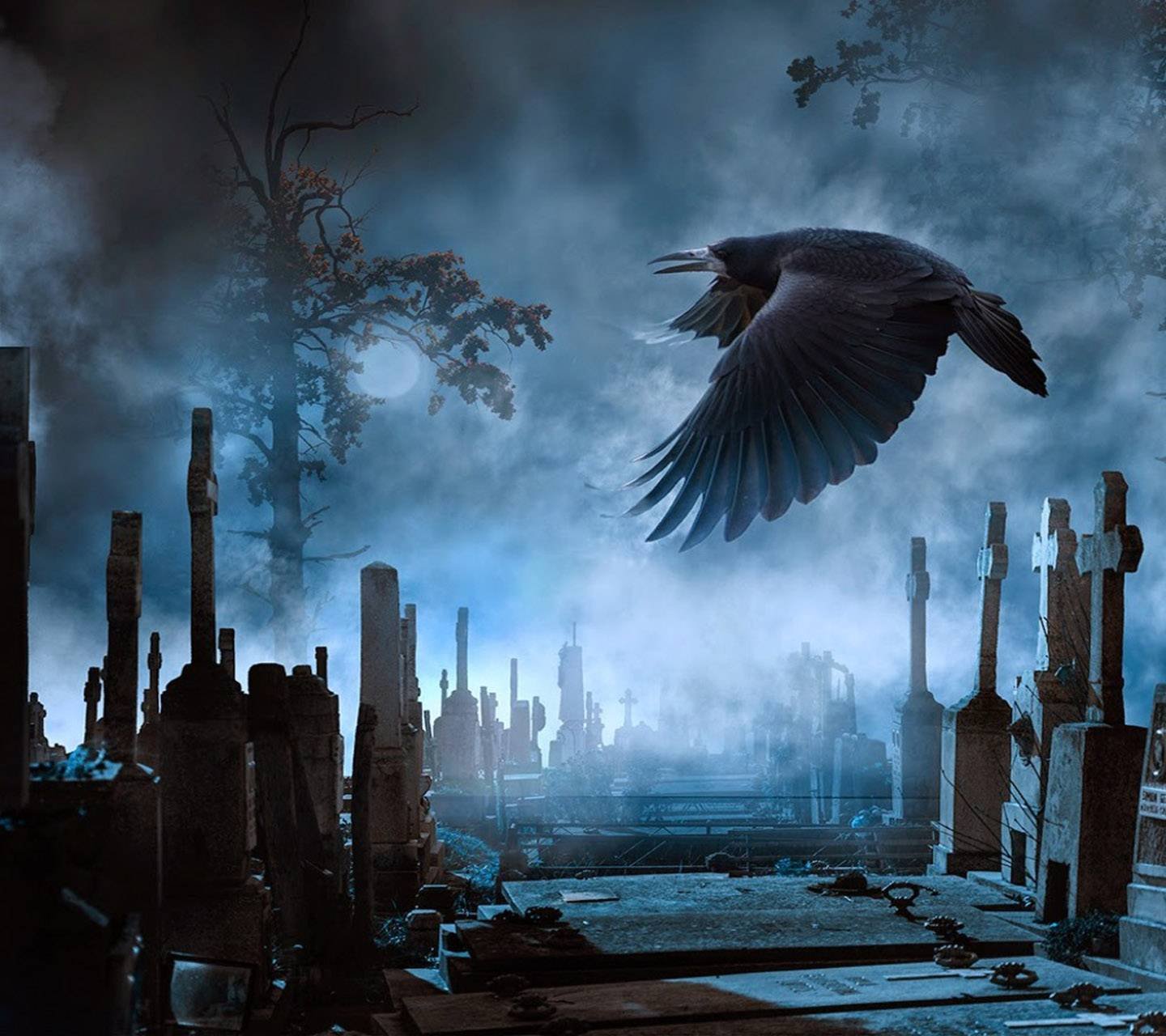 Night crows вороны. Ворон на кладбище. Мистический ворон. Мрачное кладбище. Ворона на кладбище.