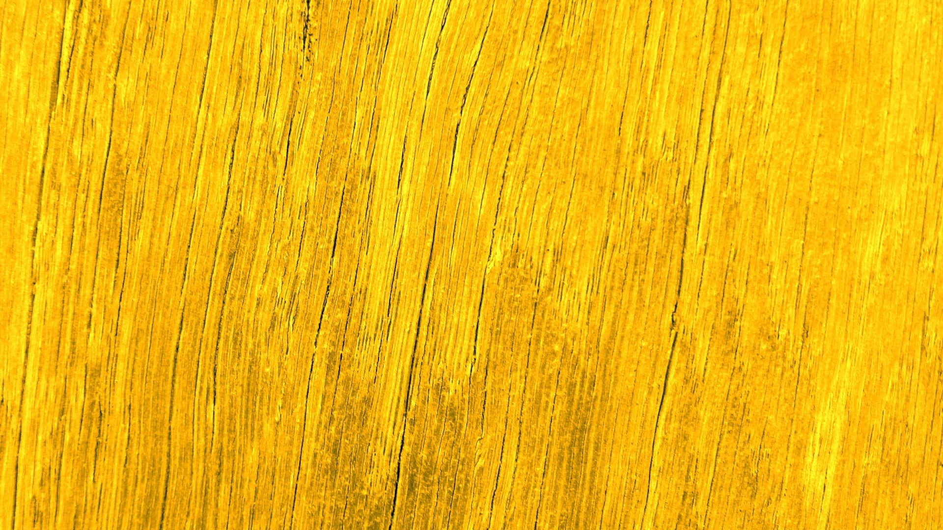 Цвет золотое дерево. Еллоу Вуд. Фактура дерева. Желтая древесина. Деревянные доски желтые.