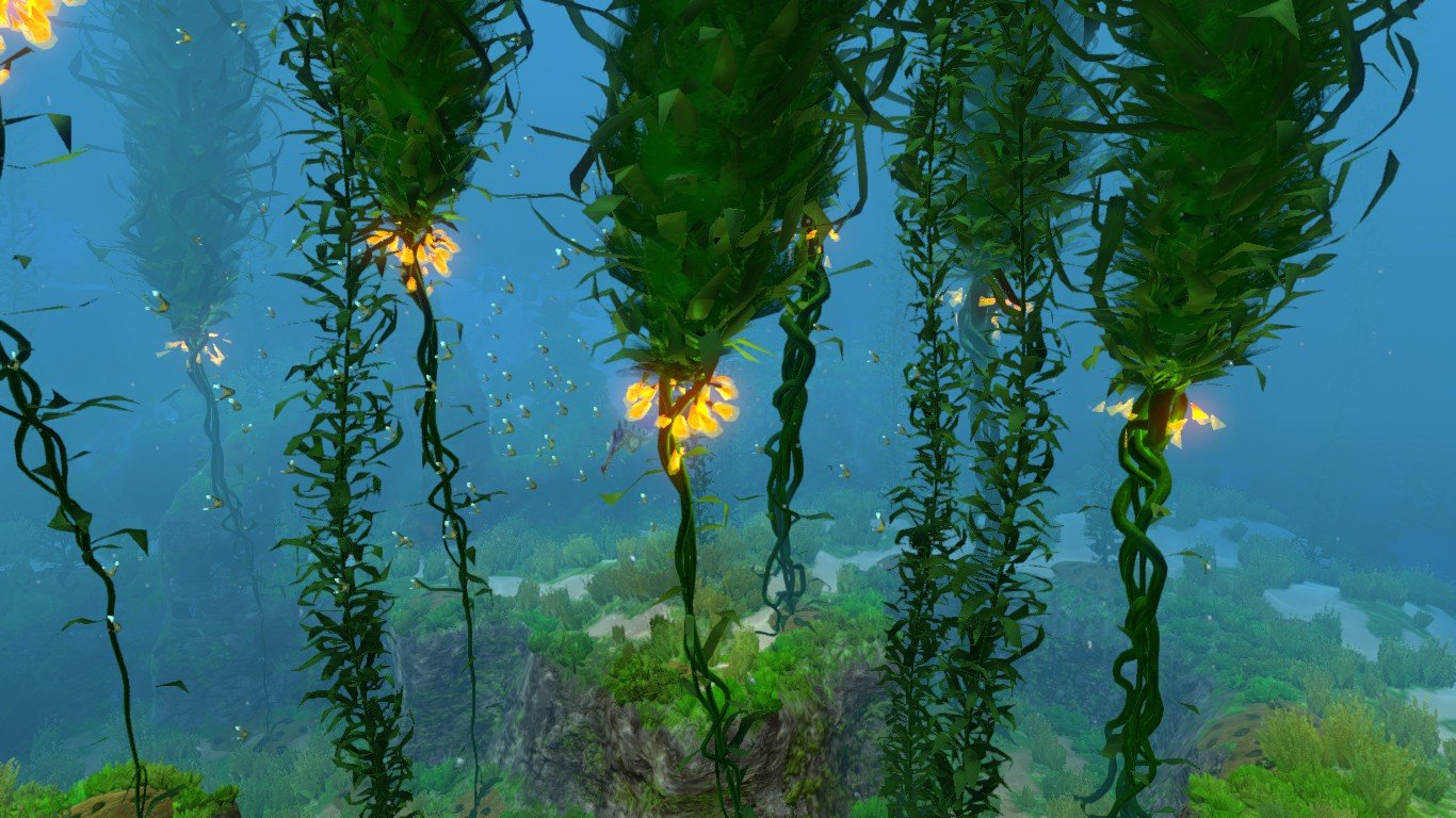 Лес водорослей Subnautica