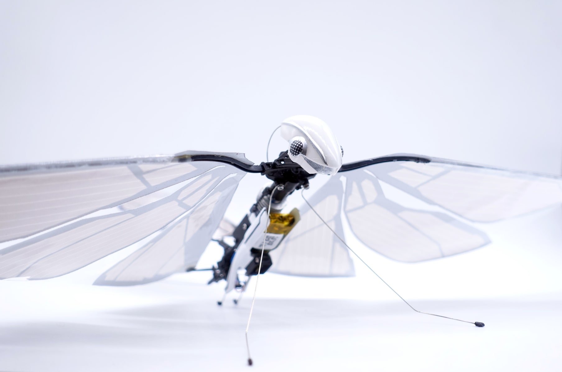 Летающие роботы примеры. Робот Стрекоза Festo. Робот Metafly. Робот бабочка Фесто. Беспилотники Колибри.