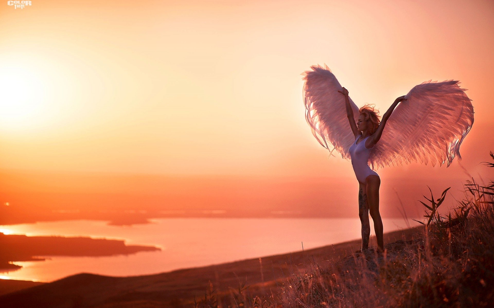 Песня подари мне полет. Девушка с крыльями. Женщина рассвет. Ангел на закате. Девушка закат птицы.