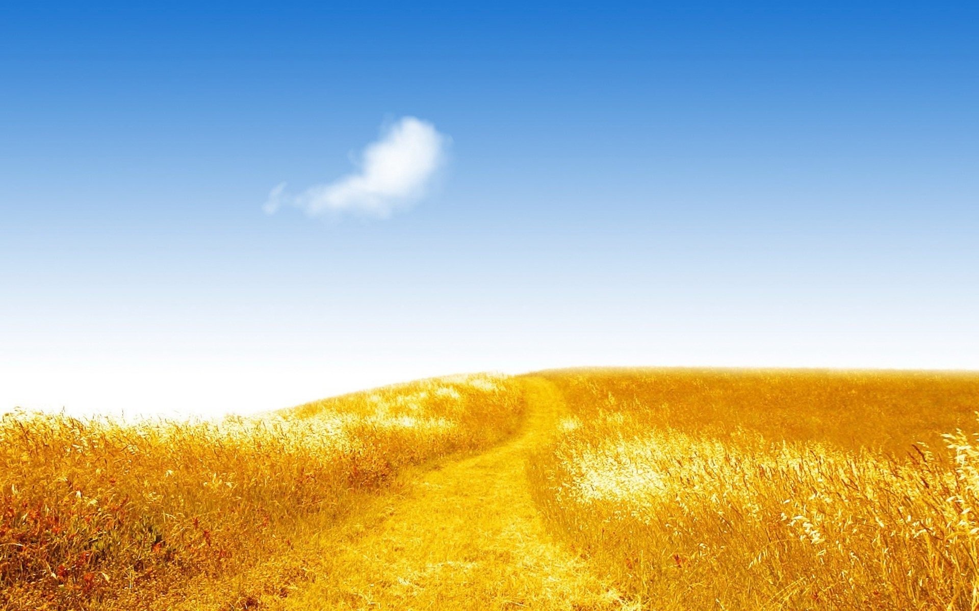 Пшеничное солнце. Пшеничное поле. Небо и поле пшеницы. Фон поле. Золотое поле.