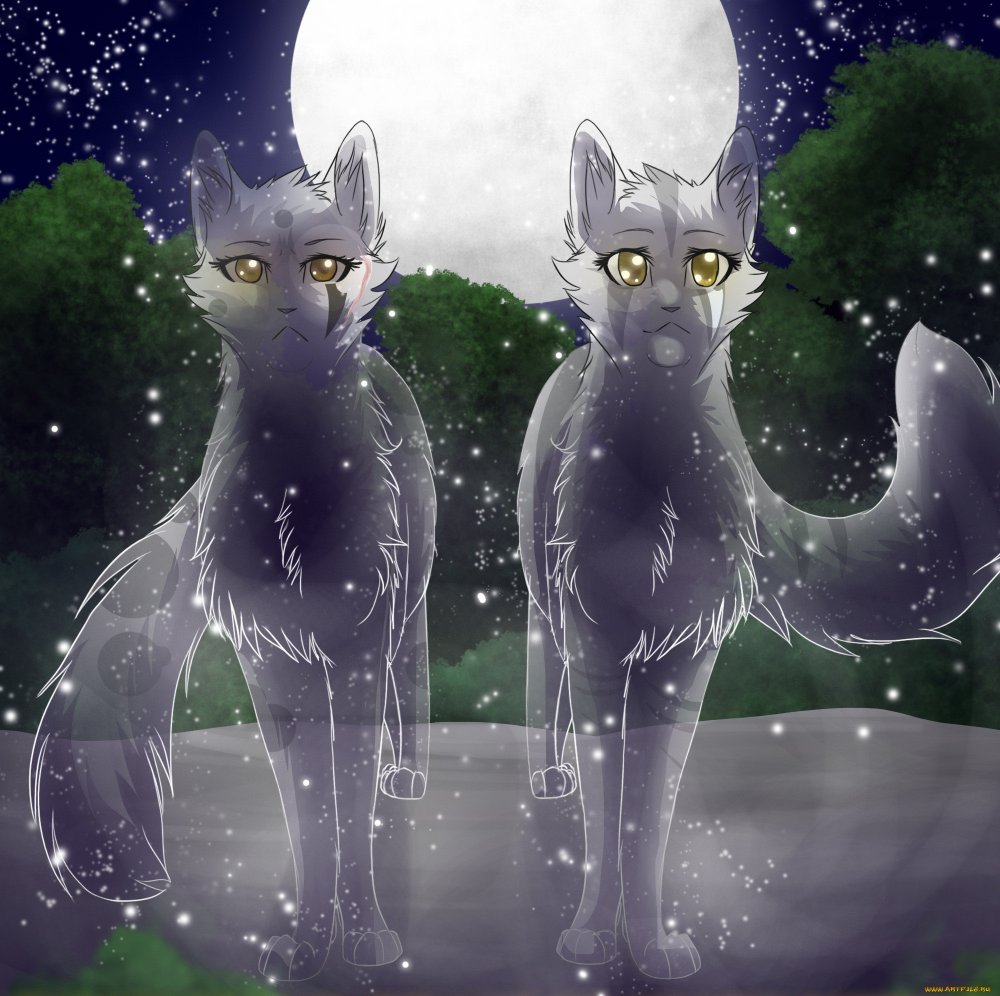Коты Воители кошка Луна