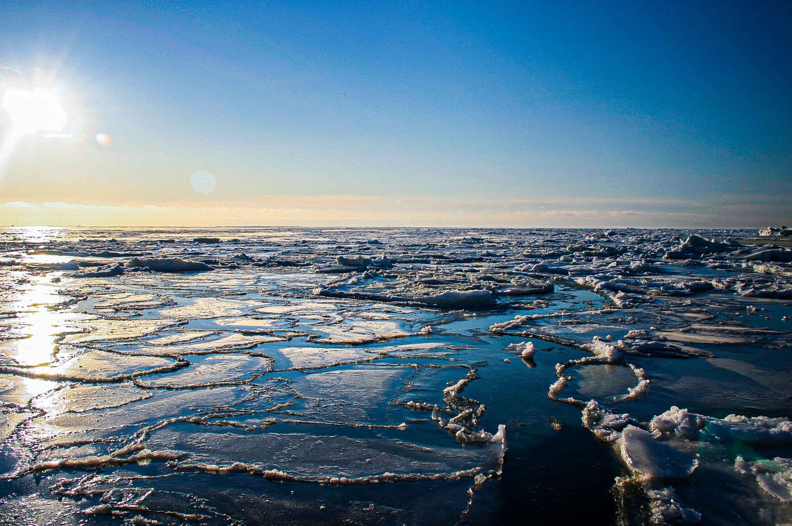 Белое море океан. Обская губа Ямал. Карское море Обская губа. Река Обь Обская губа. Обская и Тазовская губа.