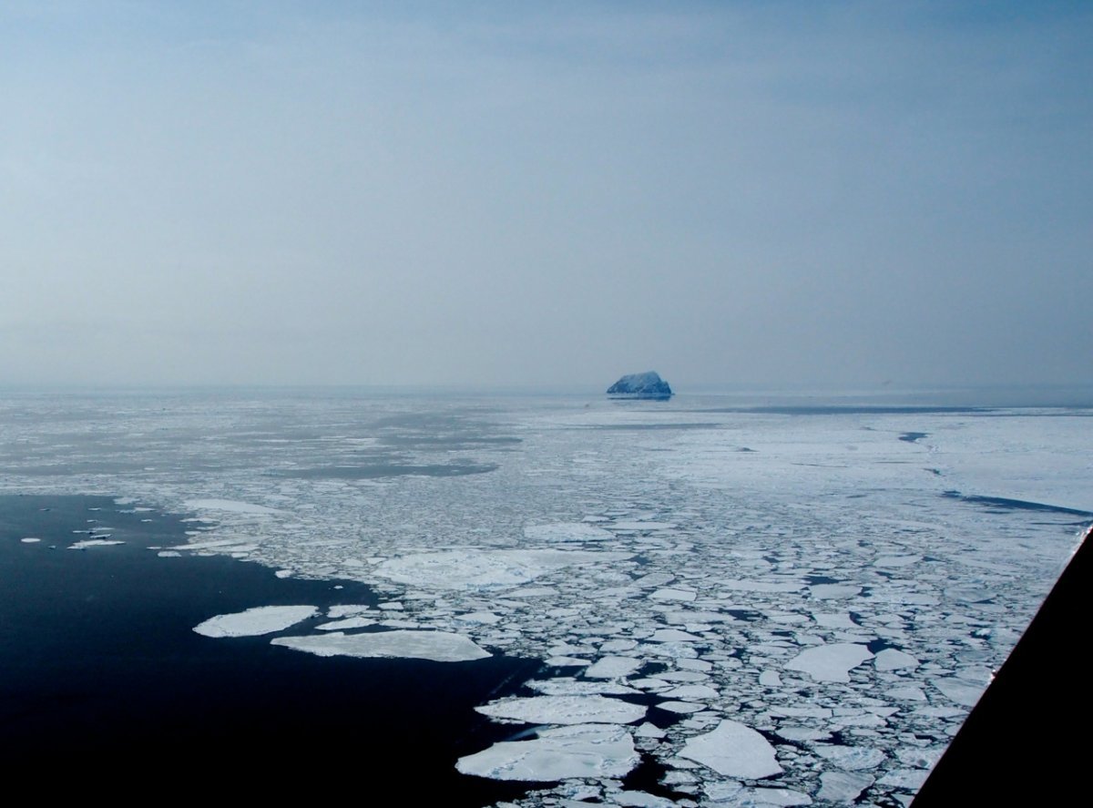 Камчатка побережье Берингово море