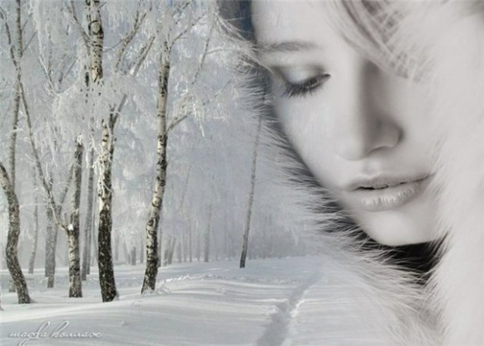 Света падал снег. Белый снег. Девушка метель. Белая вьюга. Зима грусть.