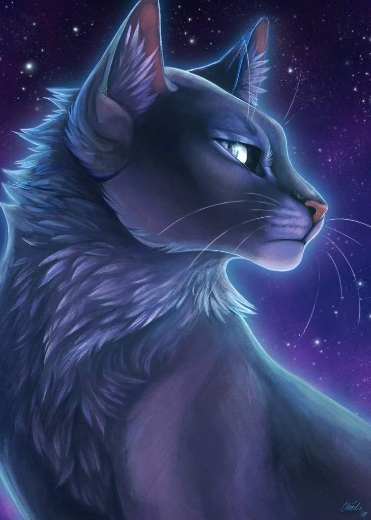 Коты Воители синяя звезда арт