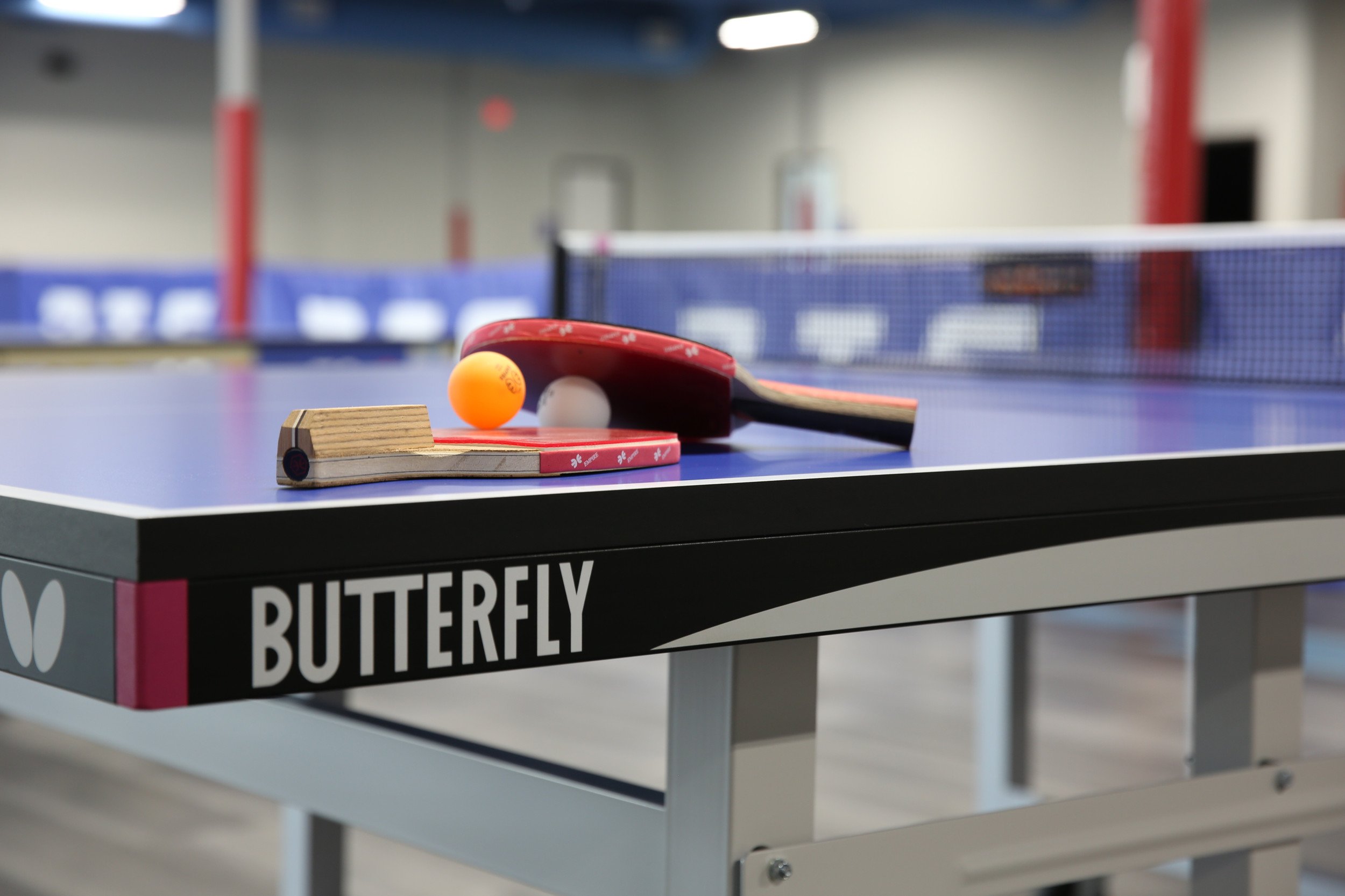 Table Tennis yg11h