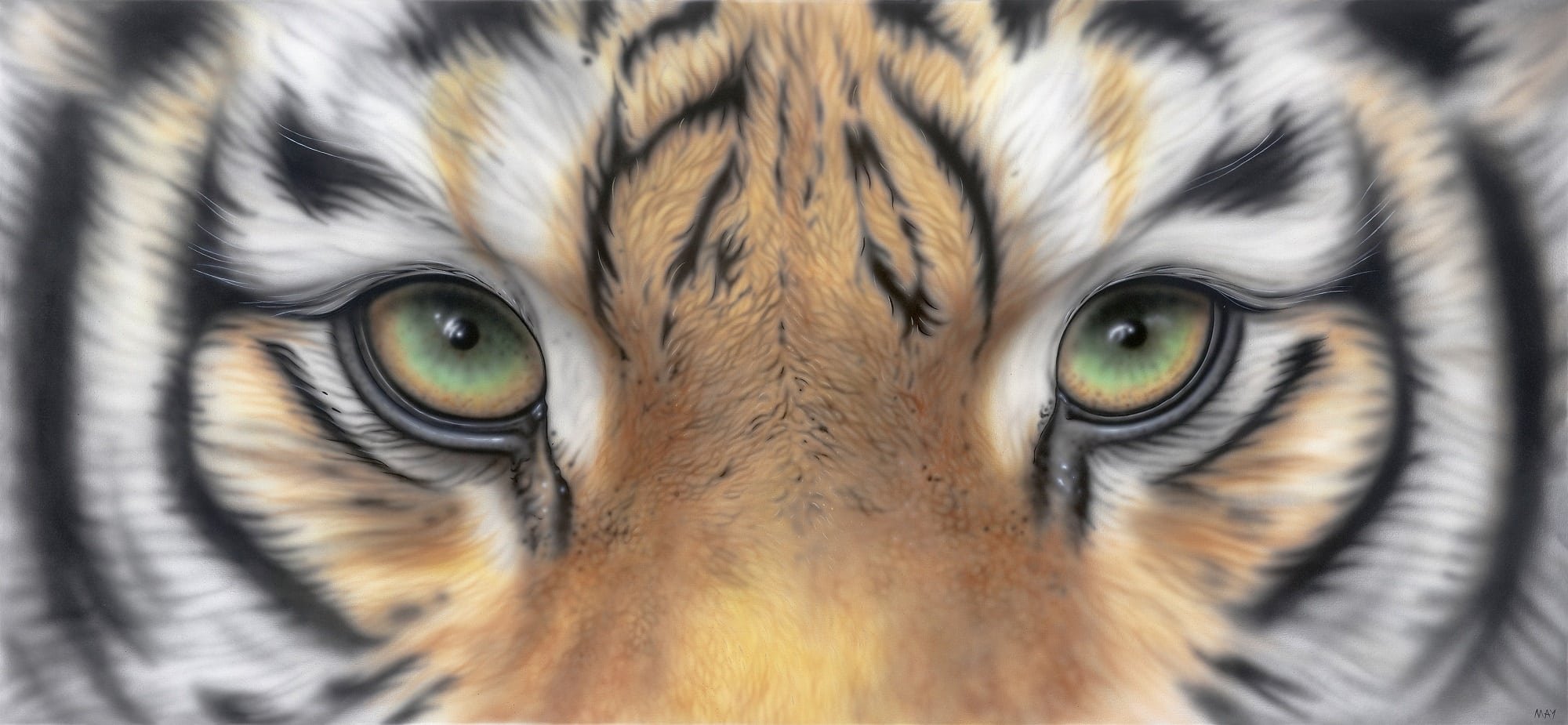 Глаз тигра видео. Глаз тигра. Глаза тигра рисунок. Зеленоглазый тигр. Зрачок тигра.