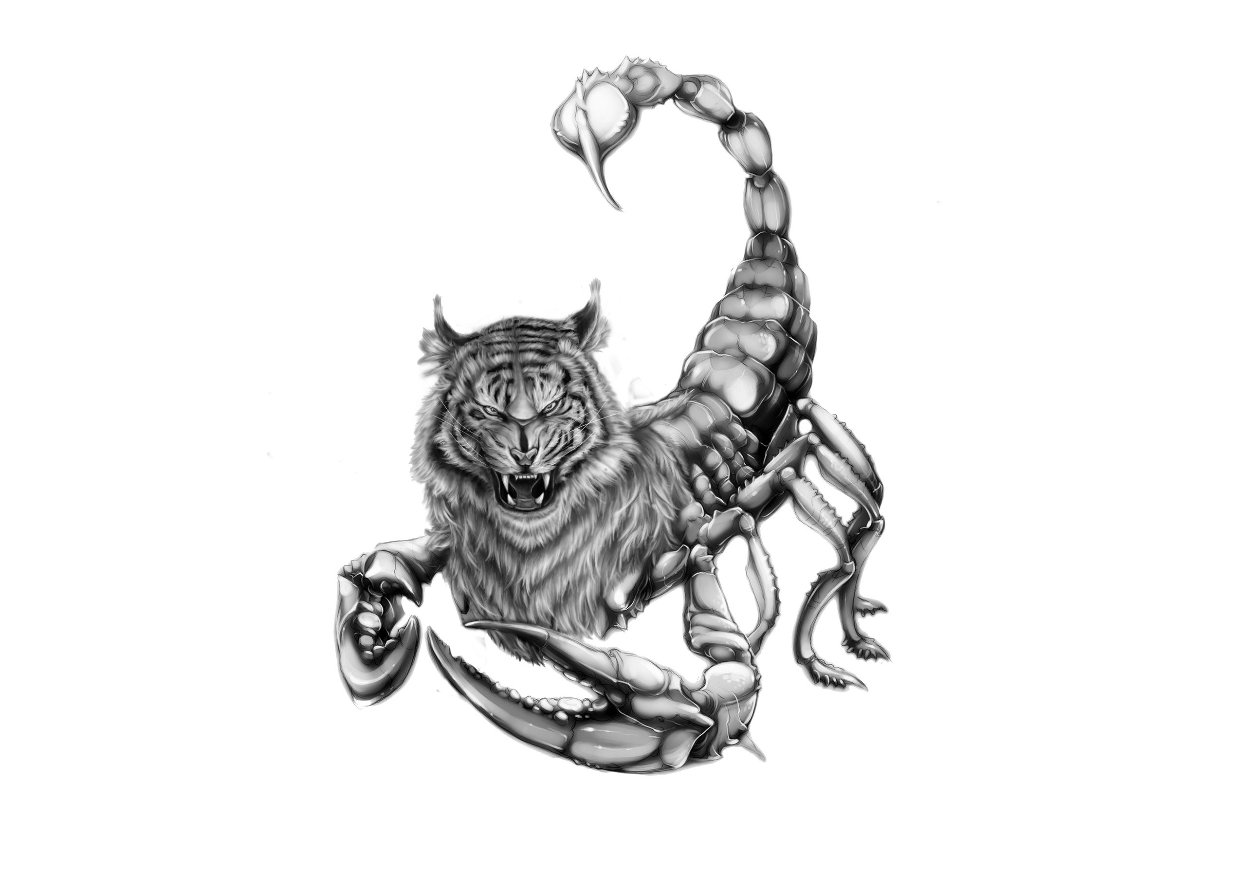 Гороскоп скорпиона тигр