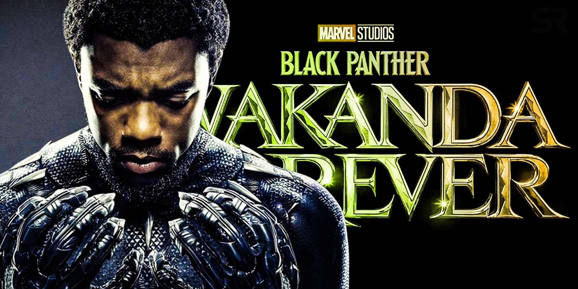 Пантера ваканда 2022. Black Panther 2 Wakanda Forever 2022. Ваканда Форевер черная пантера. Черная пантера Ваканда Форевер кадры. Черная пантера обложка.