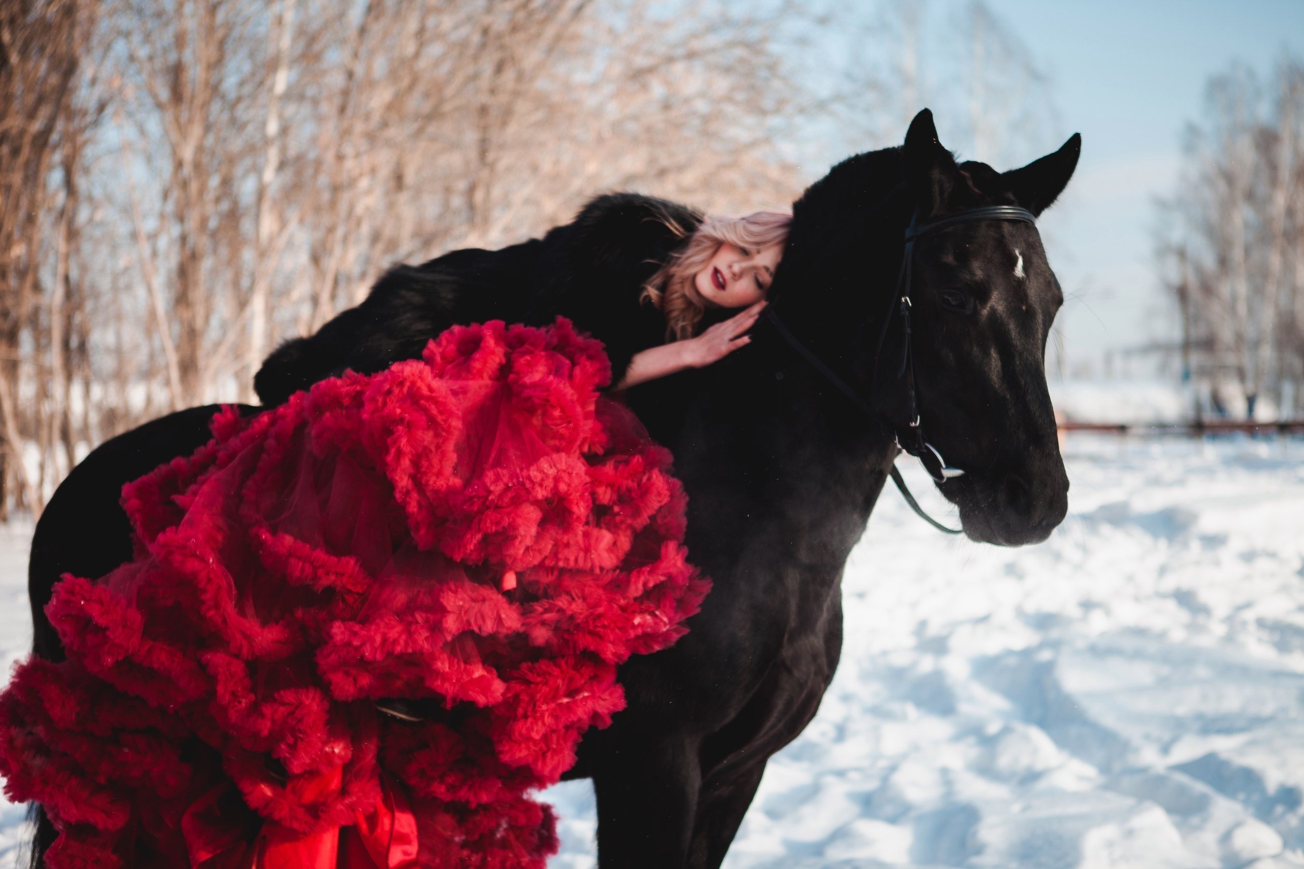 И вдруг совершенно неожиданно конь. Фотосессия с лошадьми. Зимняя фотосессия с лошадью. Фотосессия с лошадью в платье. Фотосессия с лошадью зимой.