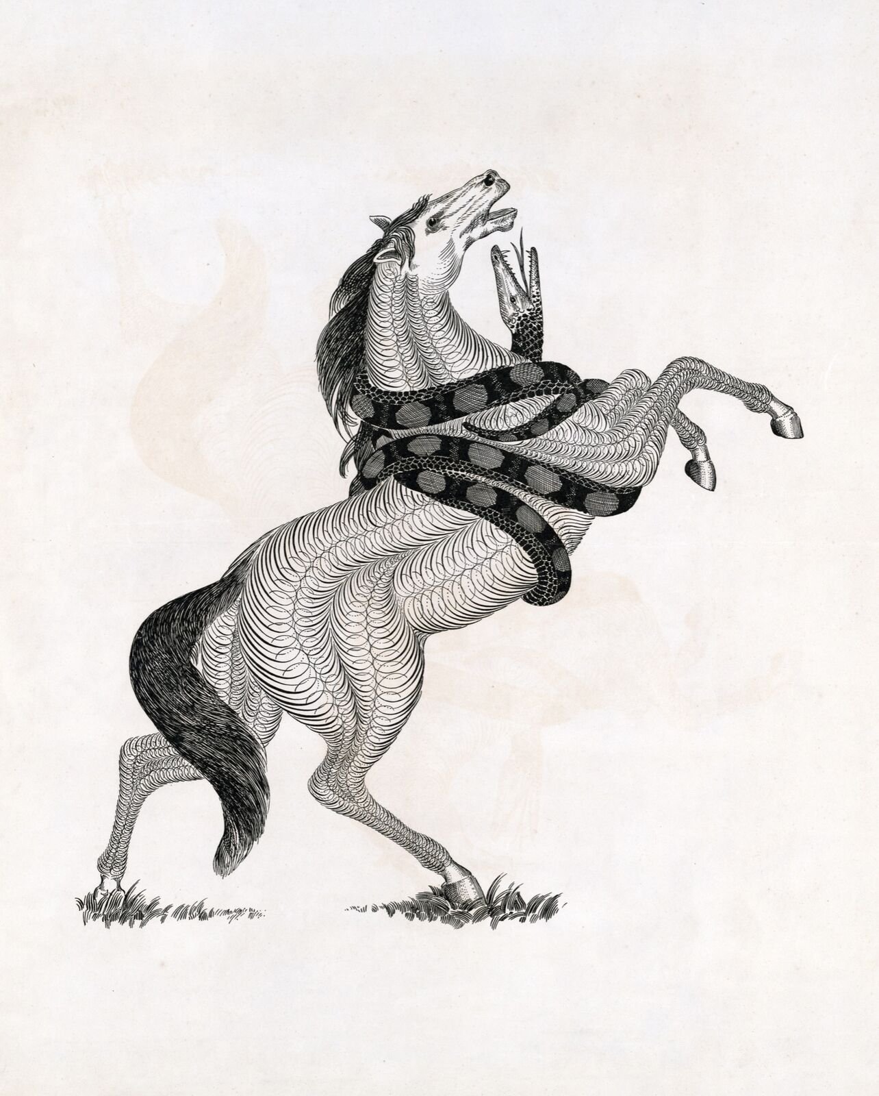 Гороскоп лошадь змея. Лошадь и змея. Лошадь и змея картинки. Конь на змие верхом. Конь и змей арт.