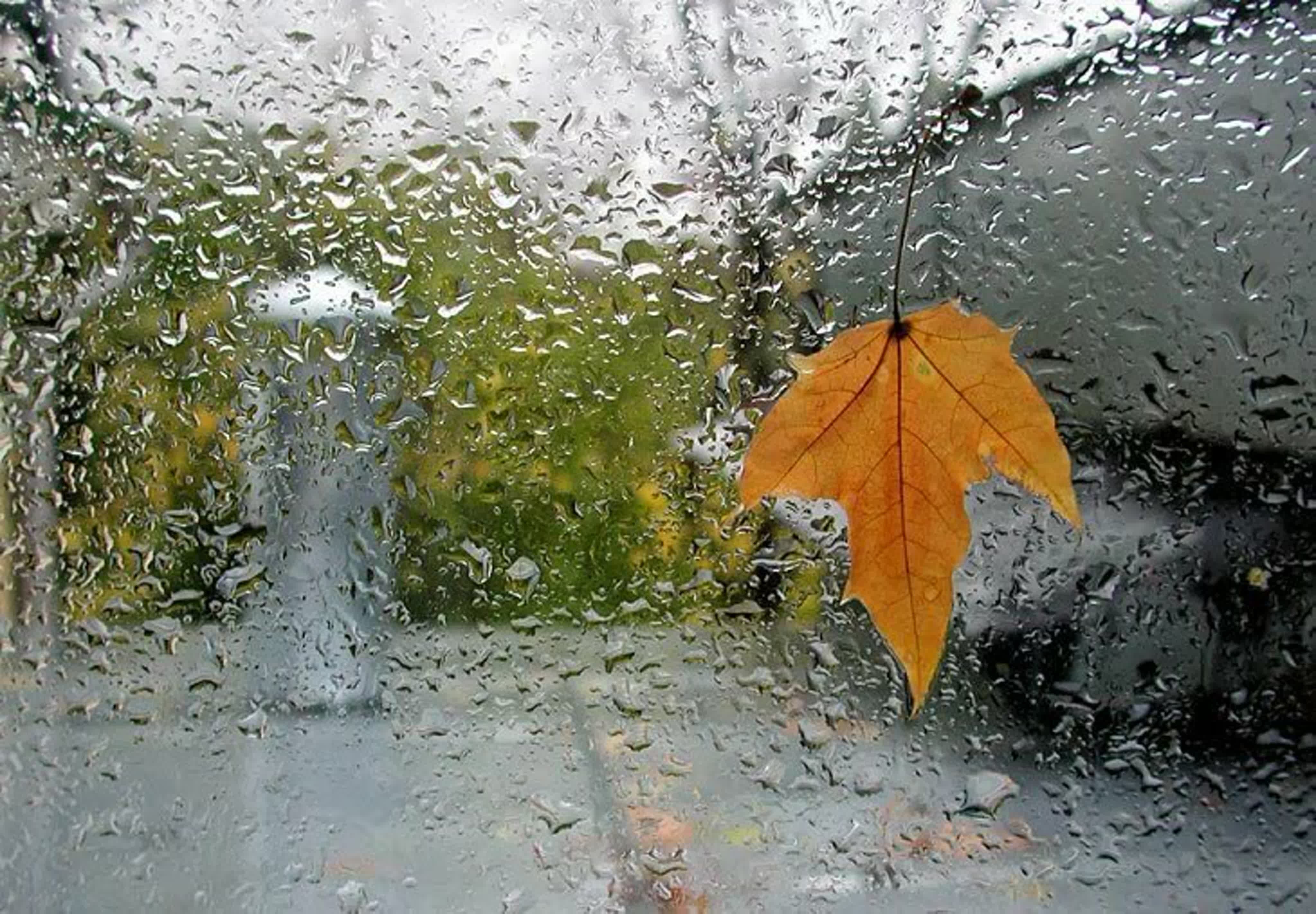 После теплого лета и дождливой осени. Дождливая осень. Осень дождь. Дождливая осень картинки. Осенний ливень.