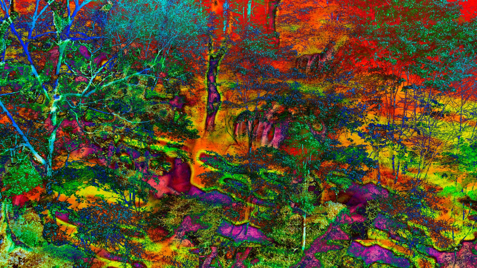 Трип 2024. Лсд трип природа. Разноцветный лес. Психоделическая осень. Психоделический пейзаж.