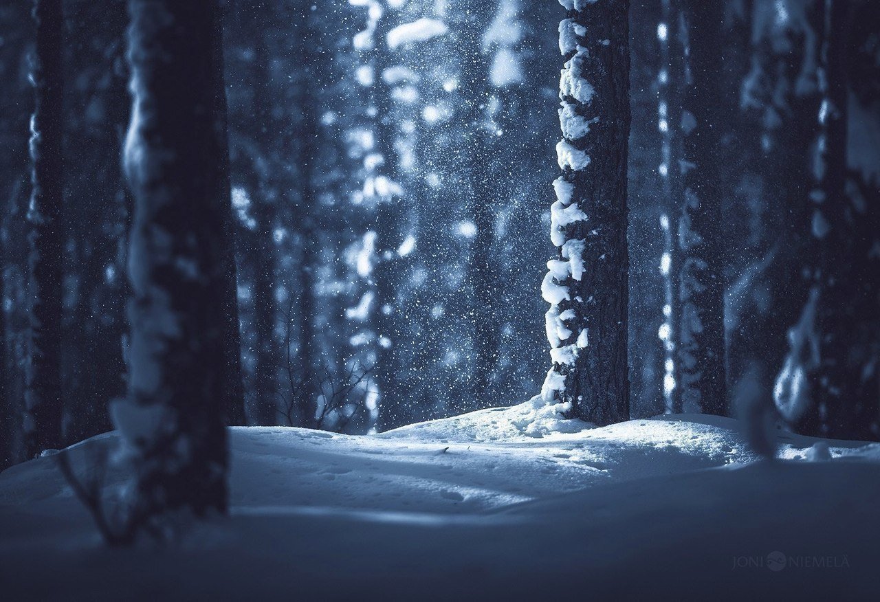 Снежный лес ночью. Заснеженный лес ночью. Лес снег ночь. Зима Эстетика.