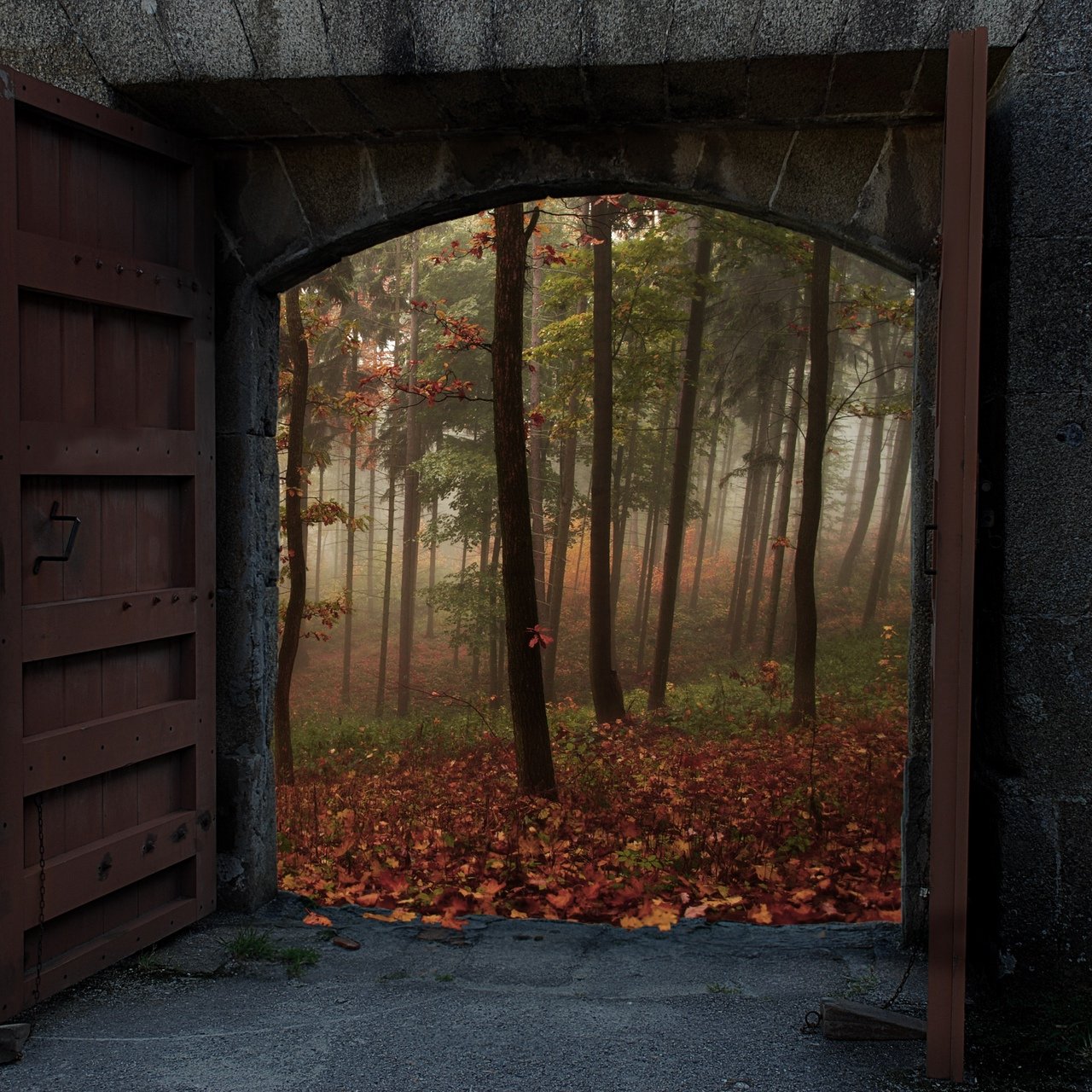 Fallen doors. Осень в городе. Осень в Лондоне. Портал в осень.