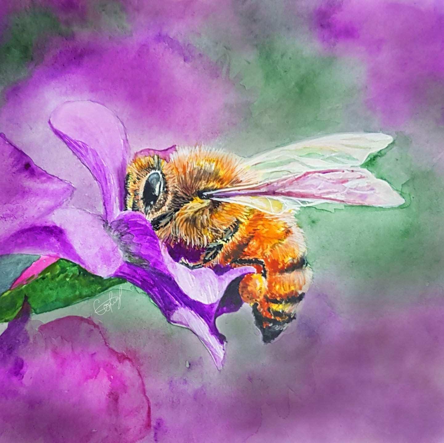 Нектар рисунок. Пчела на цветке рисунок. Пчела арт. Пчела акварель. Пчела живопись.