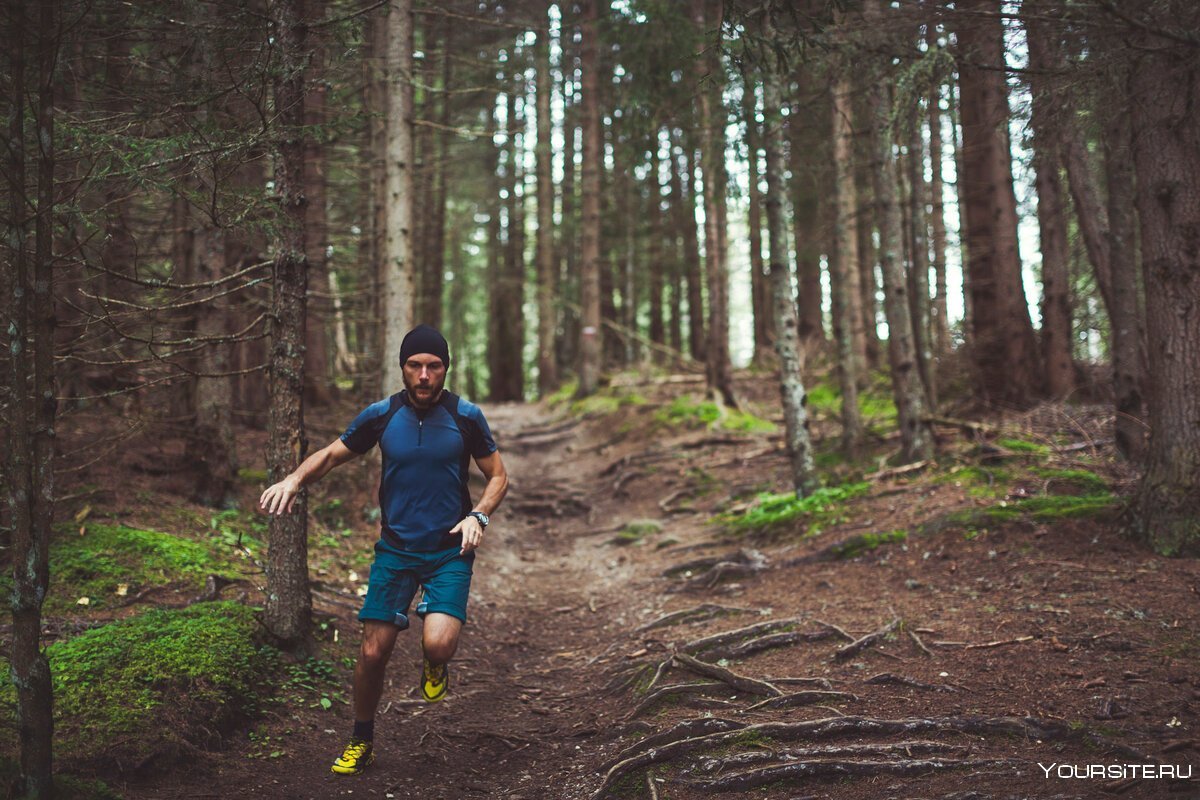Качки в лесу. Бег в лесу. Спортсмен в лесу. Бежит в лесу. Человек бежит по лесу.