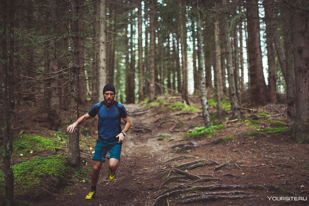 Run my mood. Бег в лесу. Человек в лесу. Бежит в лесу. Спортсмен в лесу.