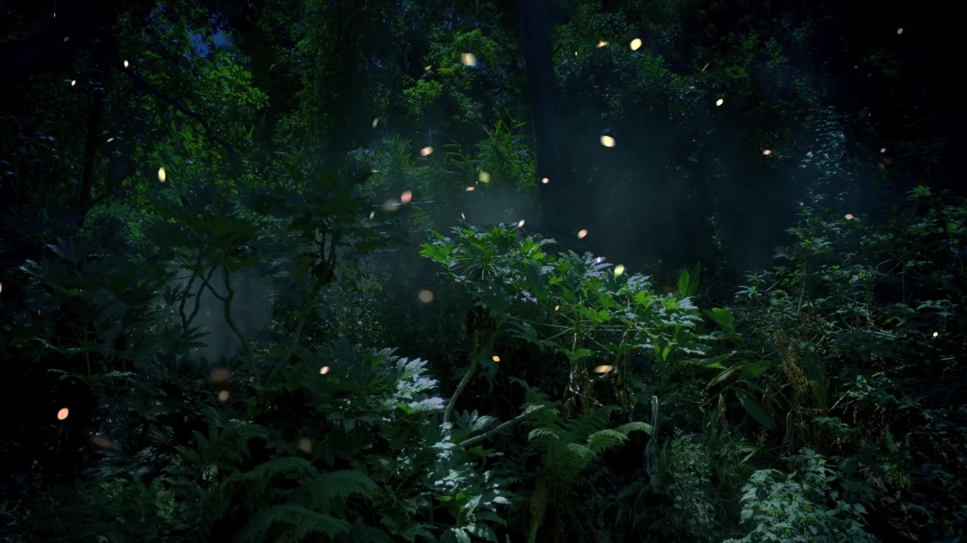 Джунгли вечером в среду. Лес светлячков Геншин. Парк светлячков в Куала Лумпур. Тропический лес ночью. «Ночь в лесу».