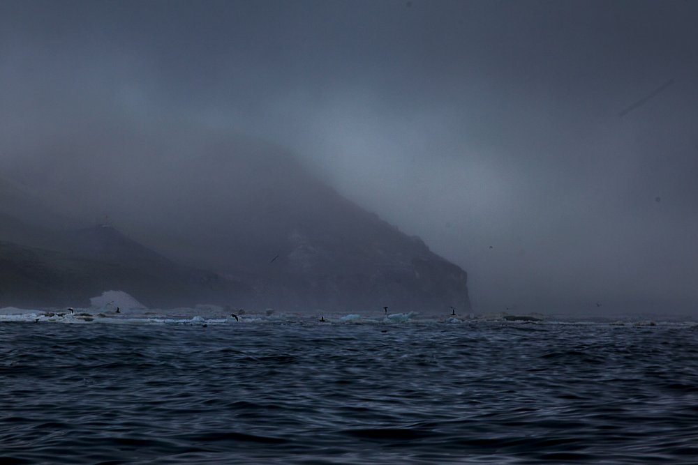 Камчатка побережье Берингово море