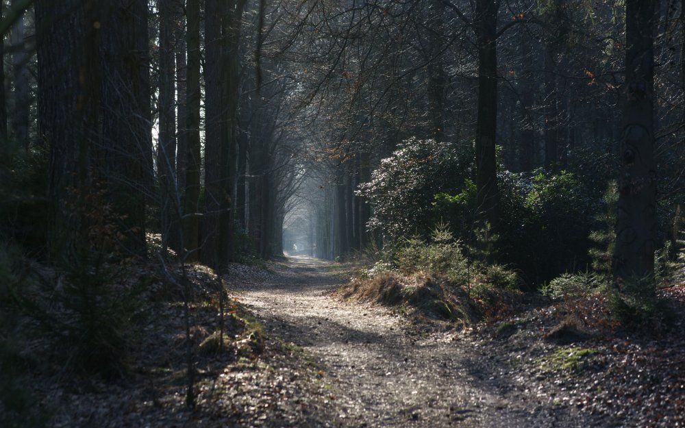 Ведьмин лес Франция