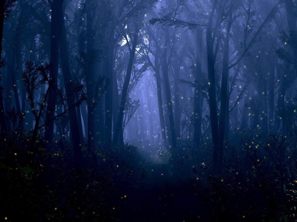 Мистический ночной лес