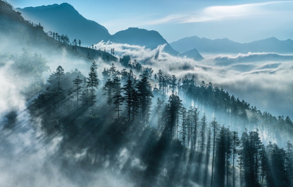Горный пейзаж в тумане