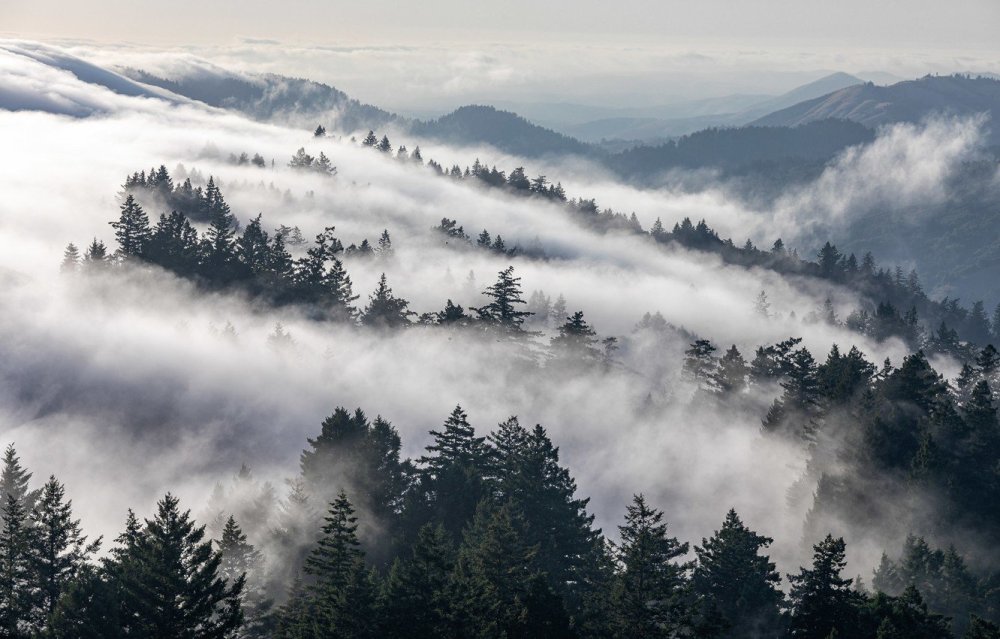 Горы в тумане в высоком качестве