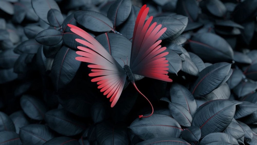 Красная бабочка на сером фоне