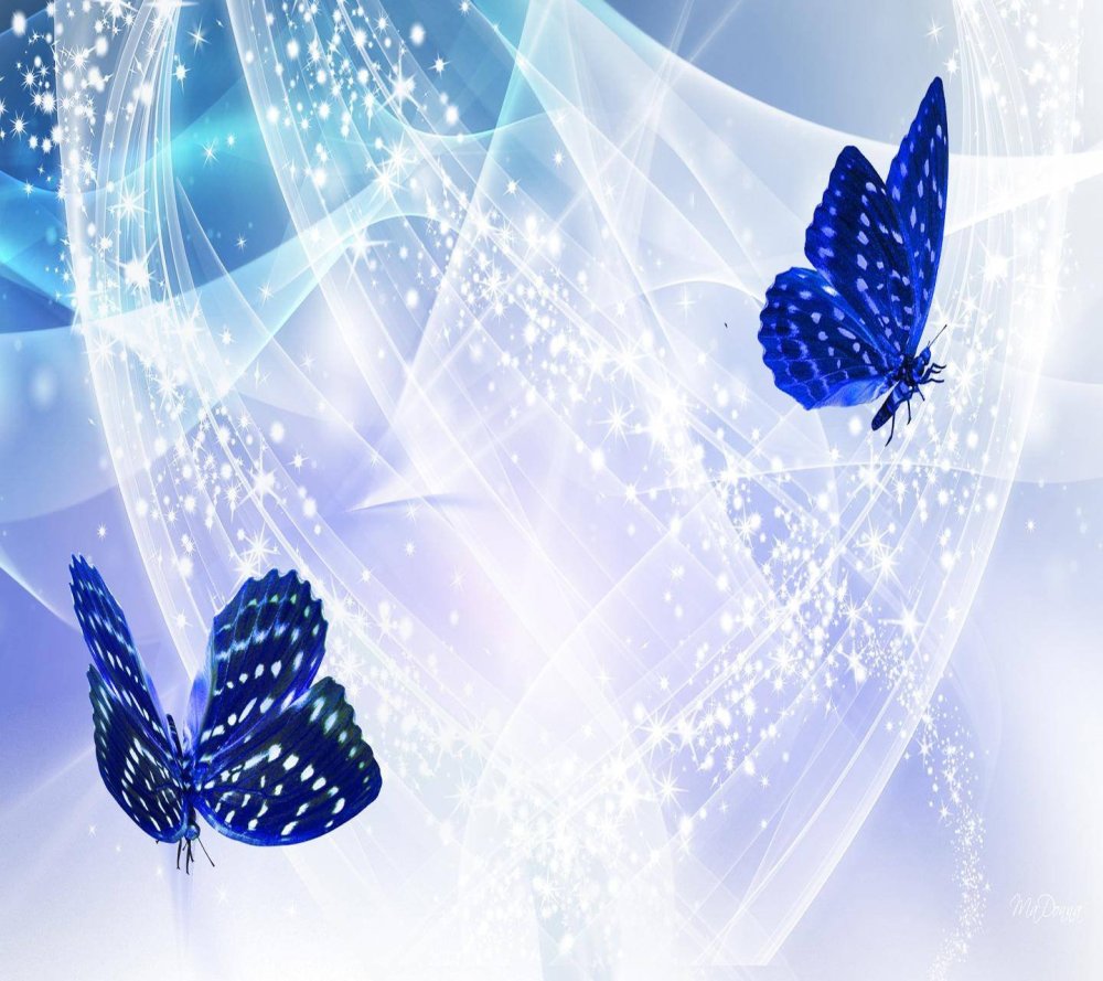 Бабочки картинки обои