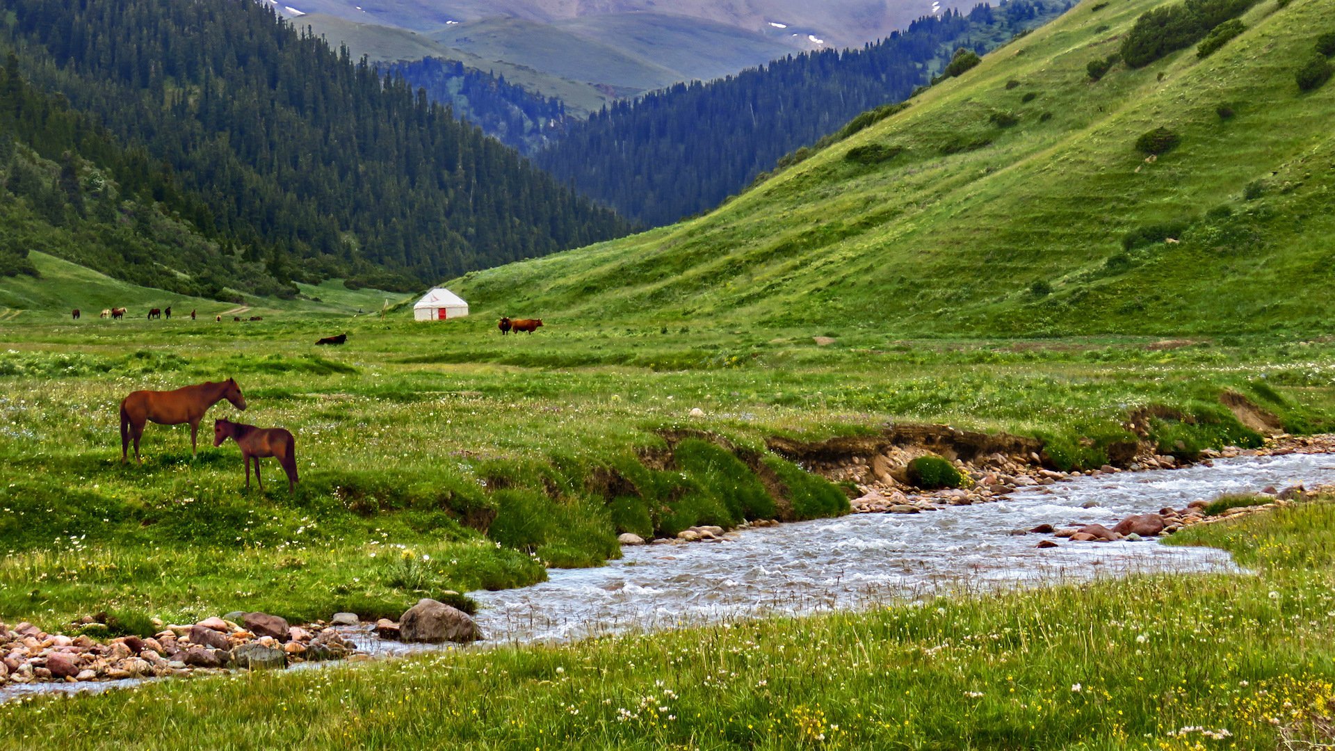 Жайлау Казахстана