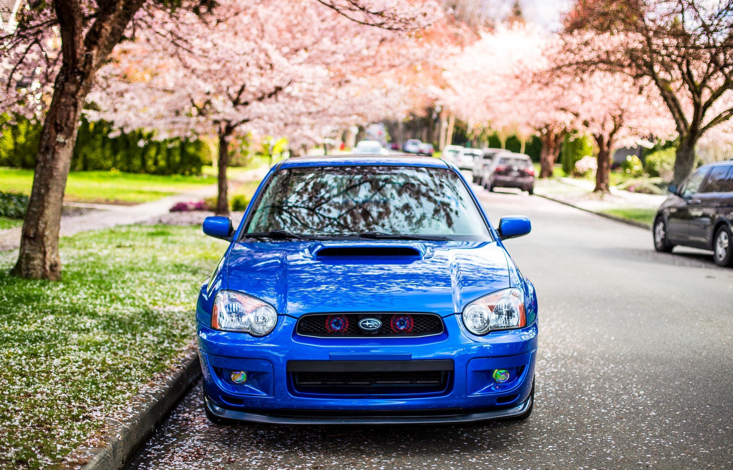 Subaru Sakura