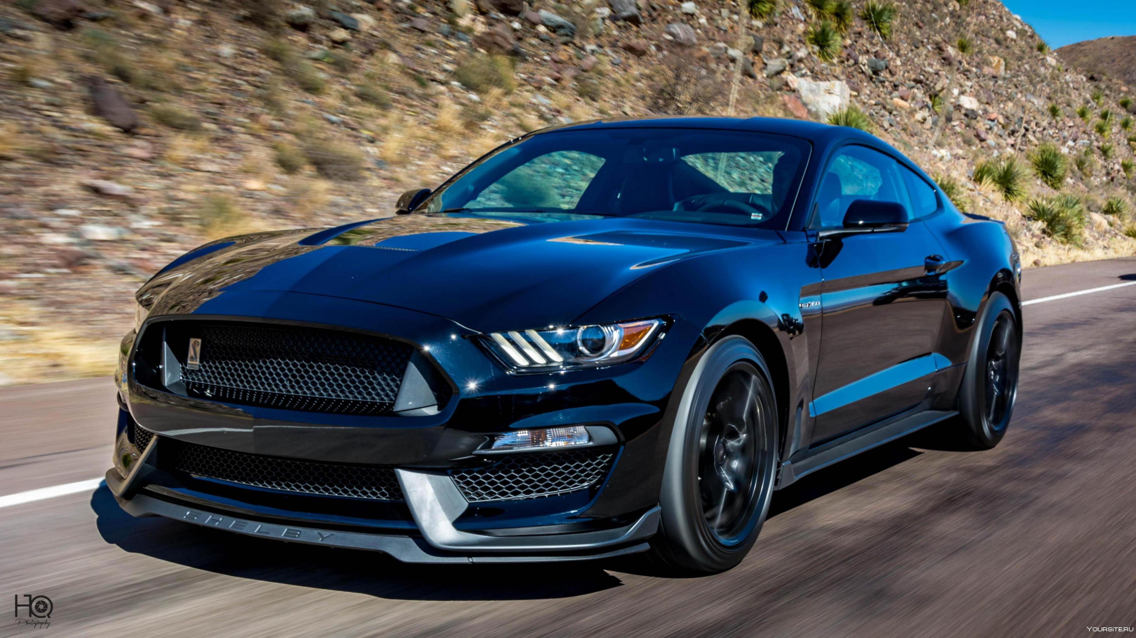 Mustang Cobra 2017