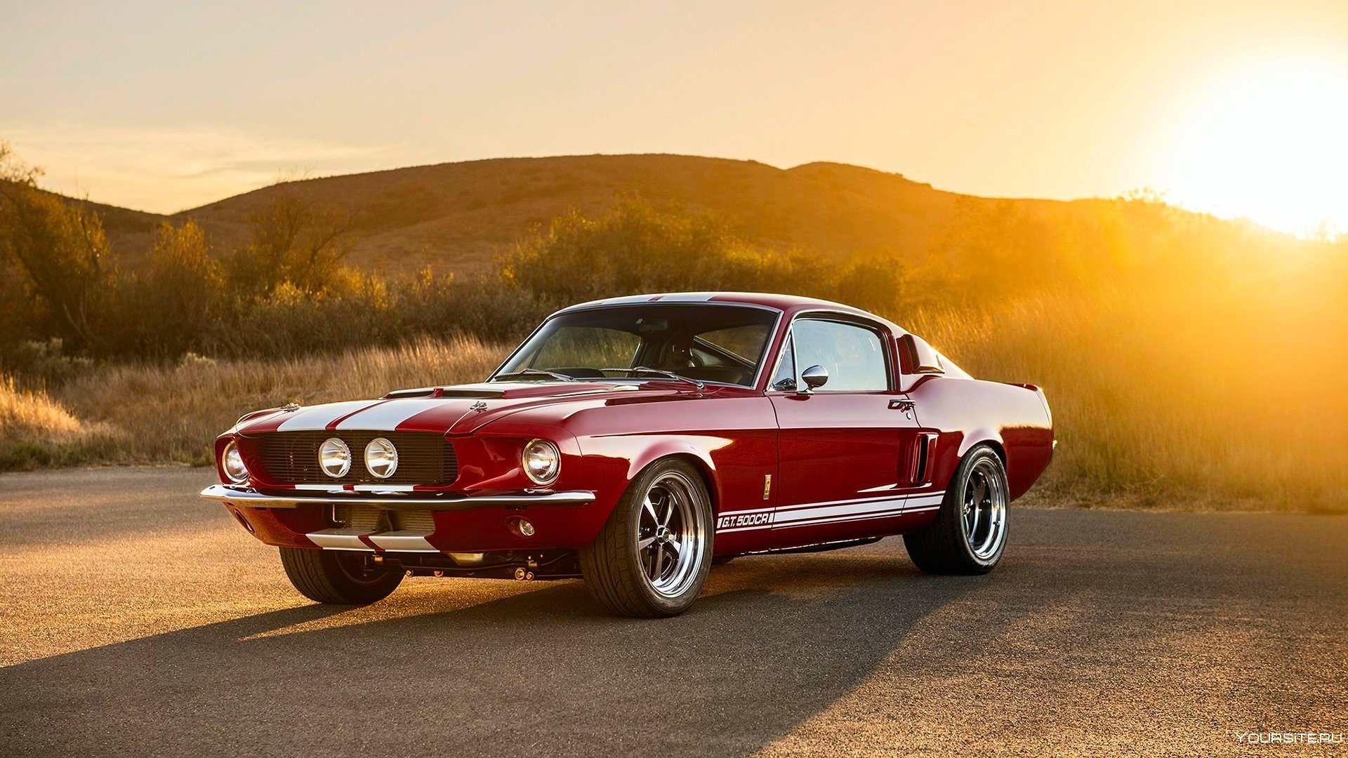 Shelby gt500 РѕР±РѕРё