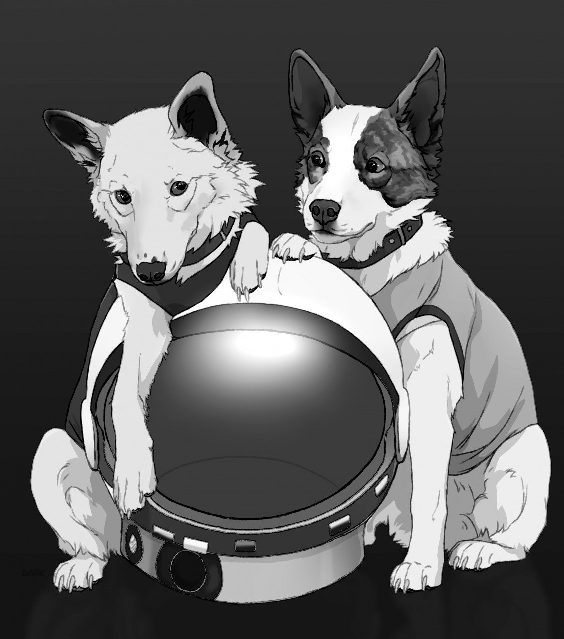 1 полетели белка и стрелка. Белка собака космонавт. Белка и стрелка в космосе. Собаки в космосе. Полёт белки и стрелки в космос.